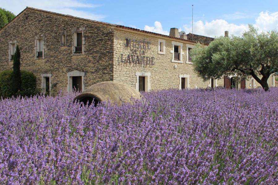 le-museacute;e-de-la-lavande