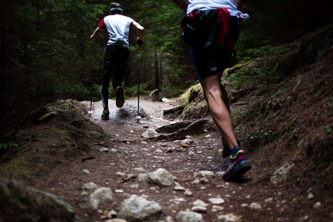 Randonn&eacute;es p&eacute;destres