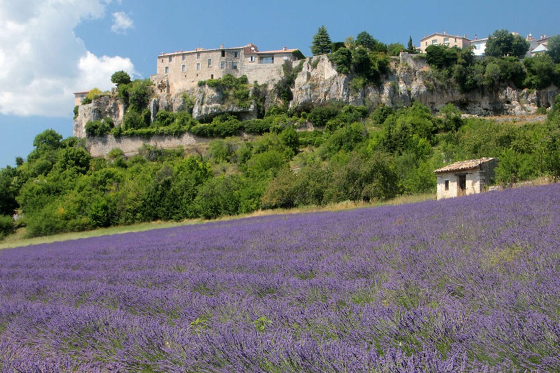Sault et la f&ecirc;te de la lavande
