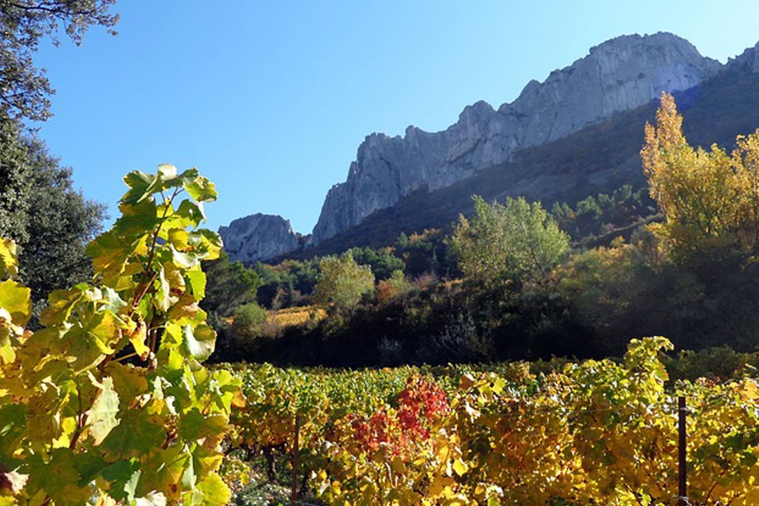 Les Dentelles de Montmirail