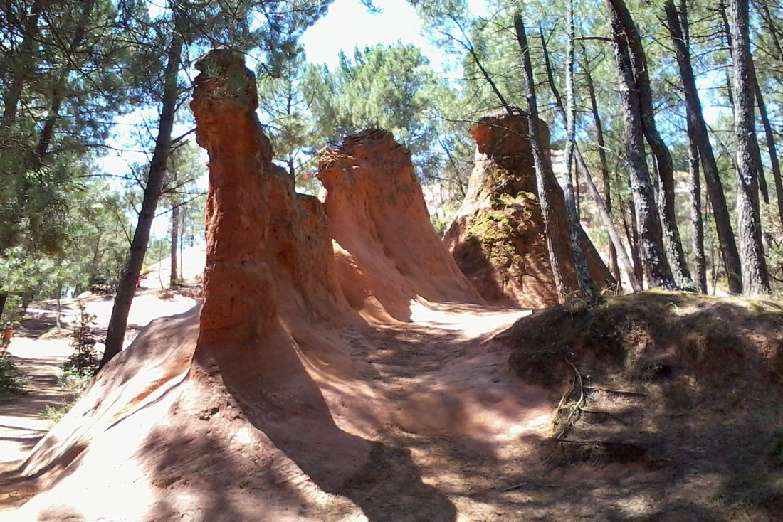 Les Demoiselles Coiff&eacute;es