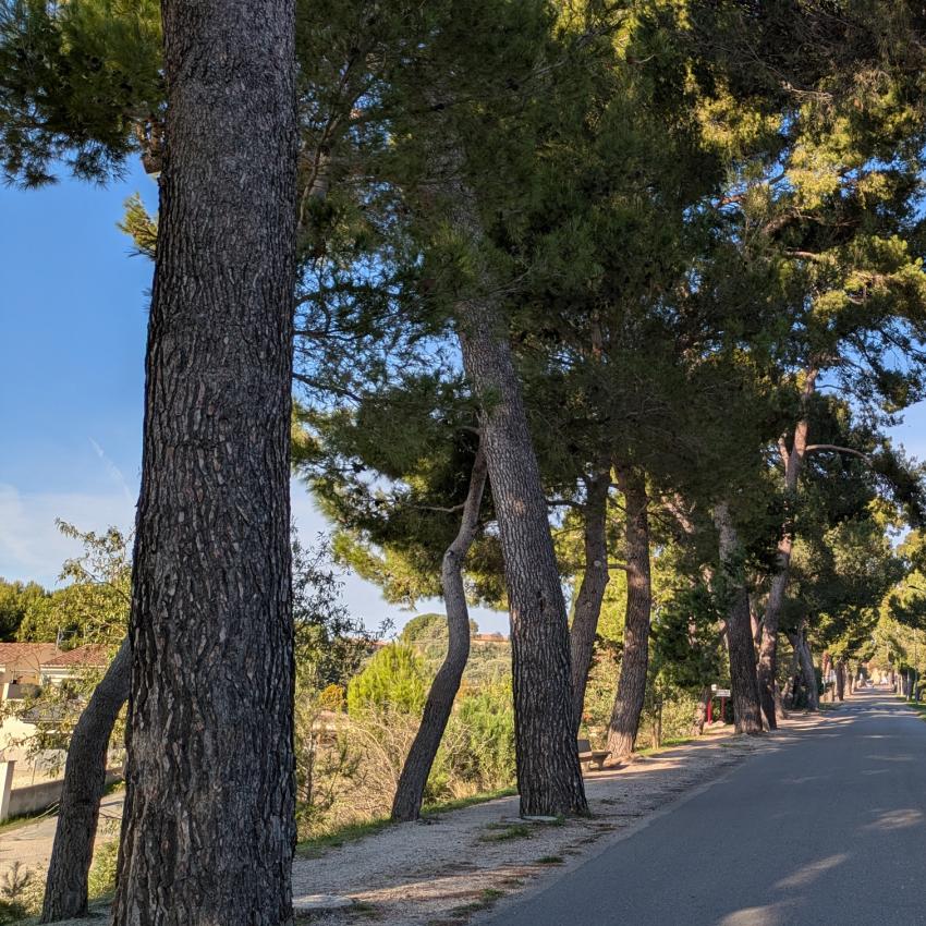 a-la-visite-de-caromb 2